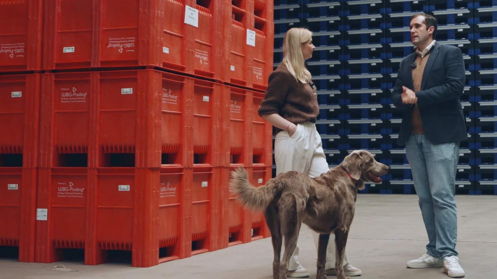 Team der Runden Group mit Hund zwischen roten und blauen Pooling-Kisten